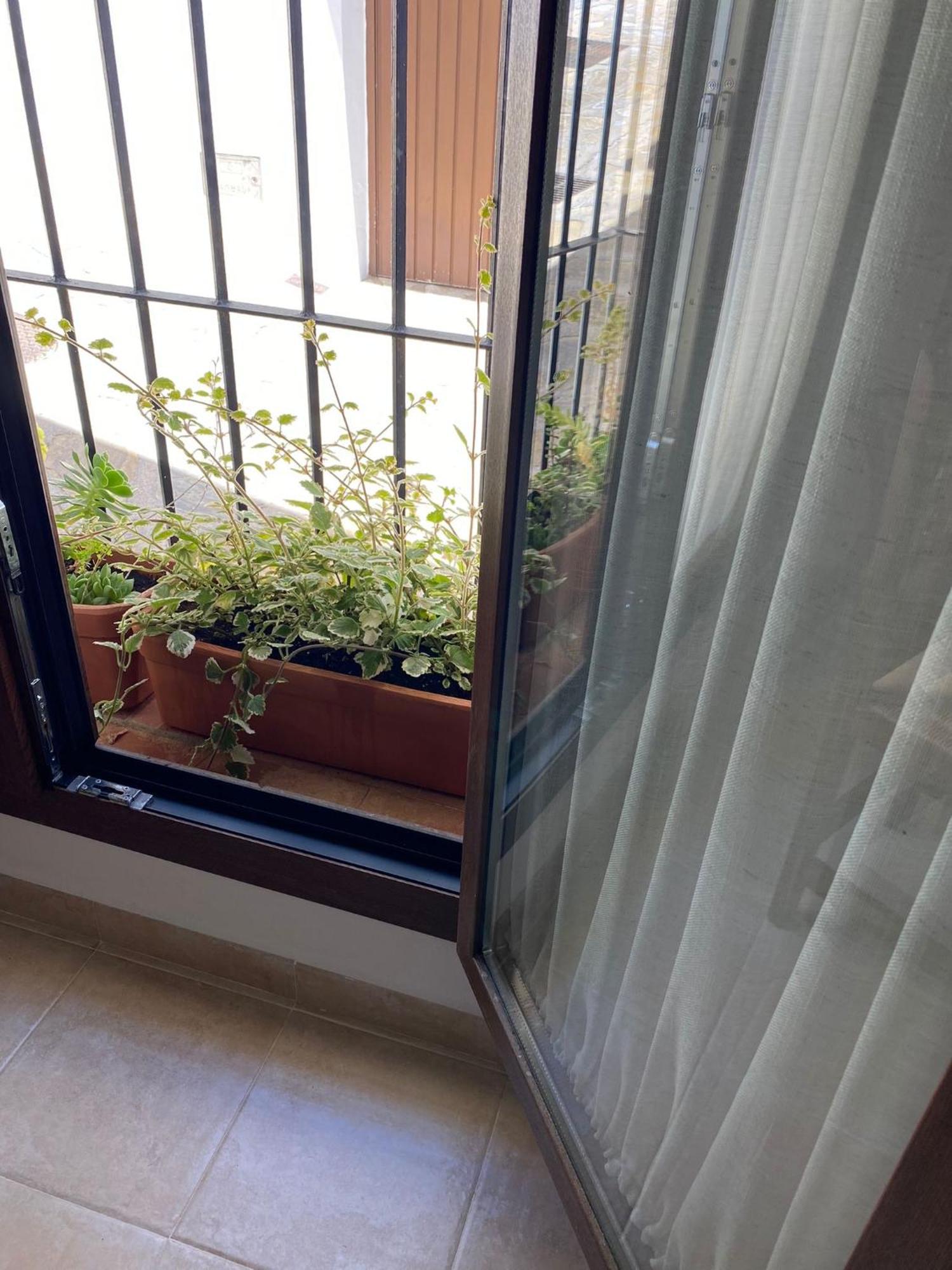 El Endrinal Apartment Grazalema Bagian luar foto